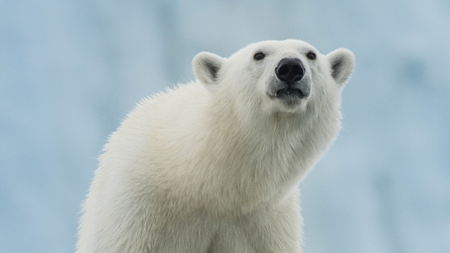 スヴァールバル諸島